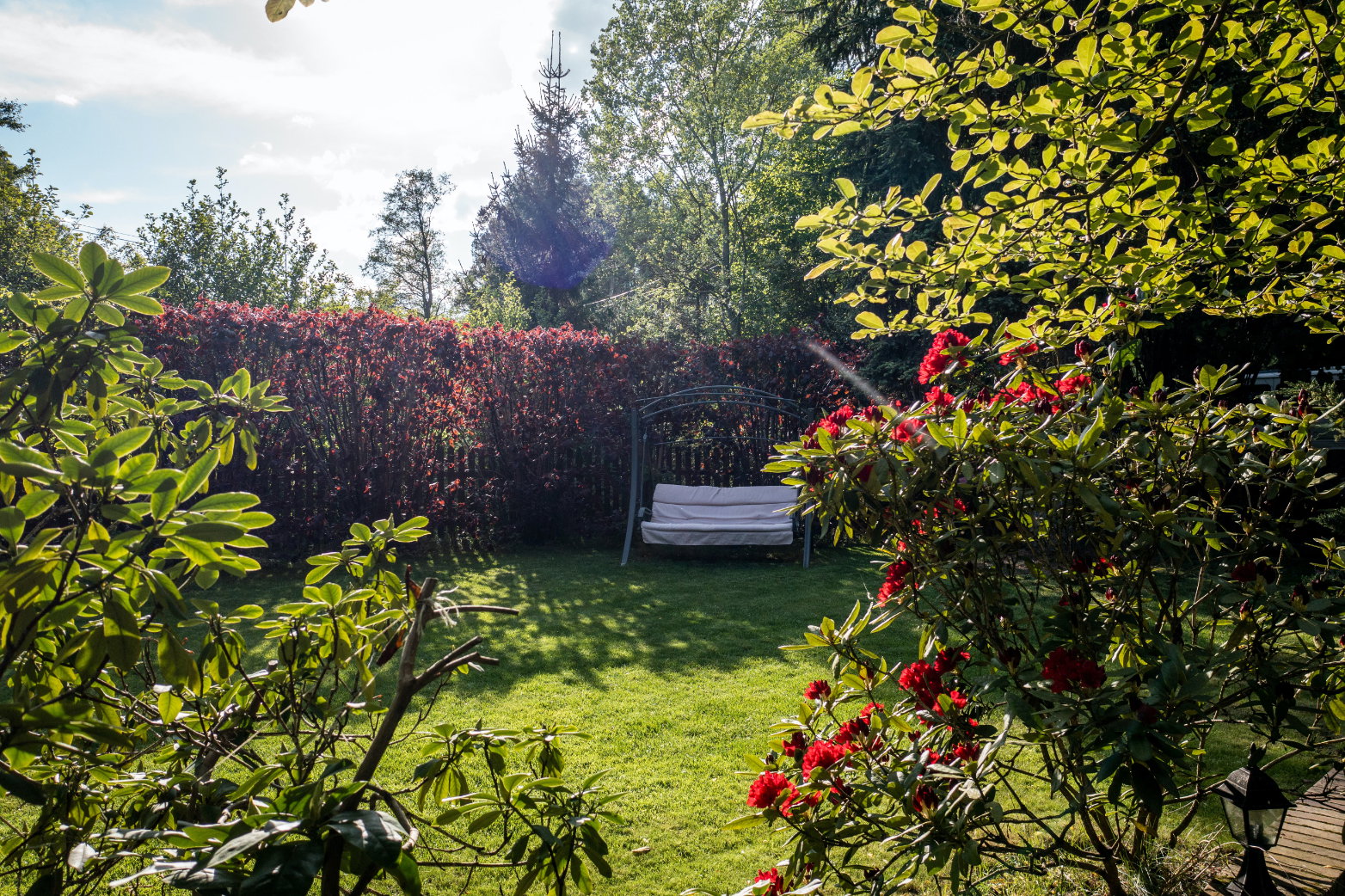 Diese Pflanzen eignen sich besonders gut im Garten