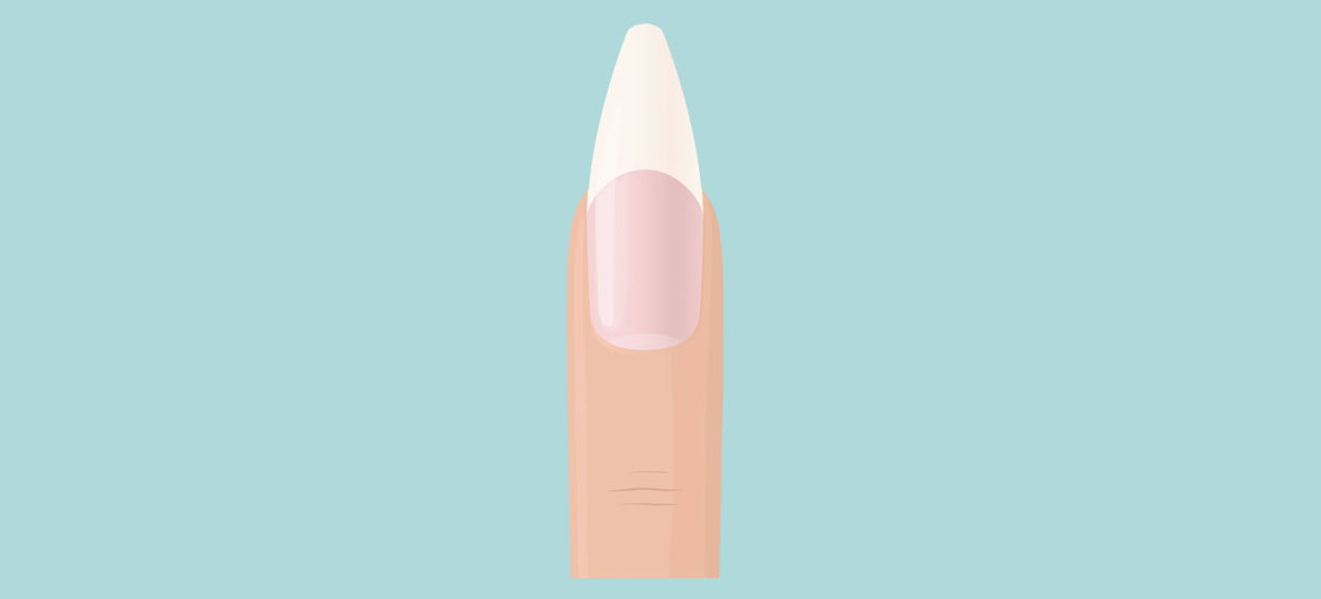 Illustration eines Fingers mit spitz zulaufendem Fingernagel, der vorn leicht abgefeilt ist