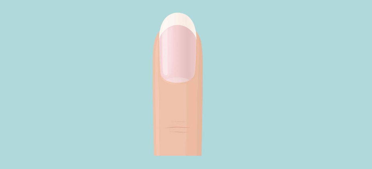 Illustration eines Fingers mit rundem Fingernagel