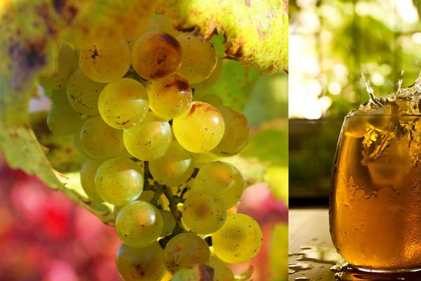 Kühle Erfrischung an heißen Tagen: Chardonnay Eistee