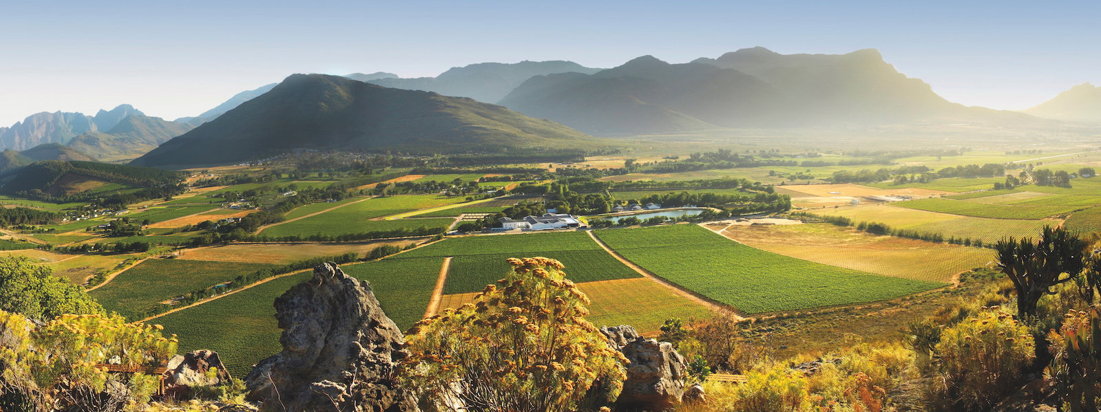 Weinparadies Südafrika
