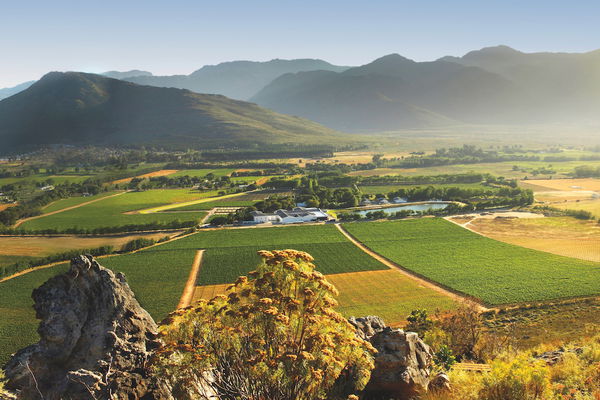 Weinparadies Südafrika