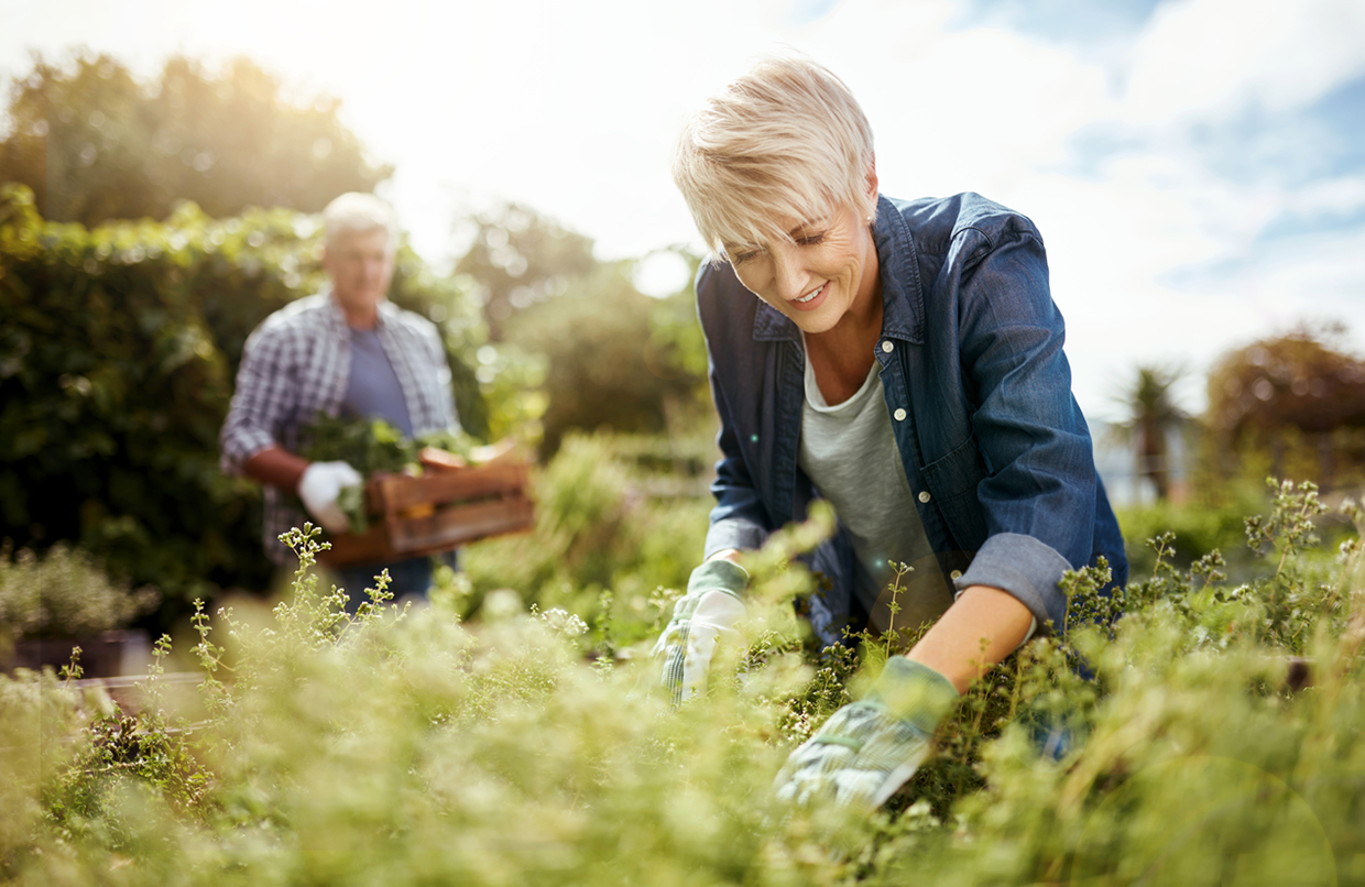 Garten Trends 2018