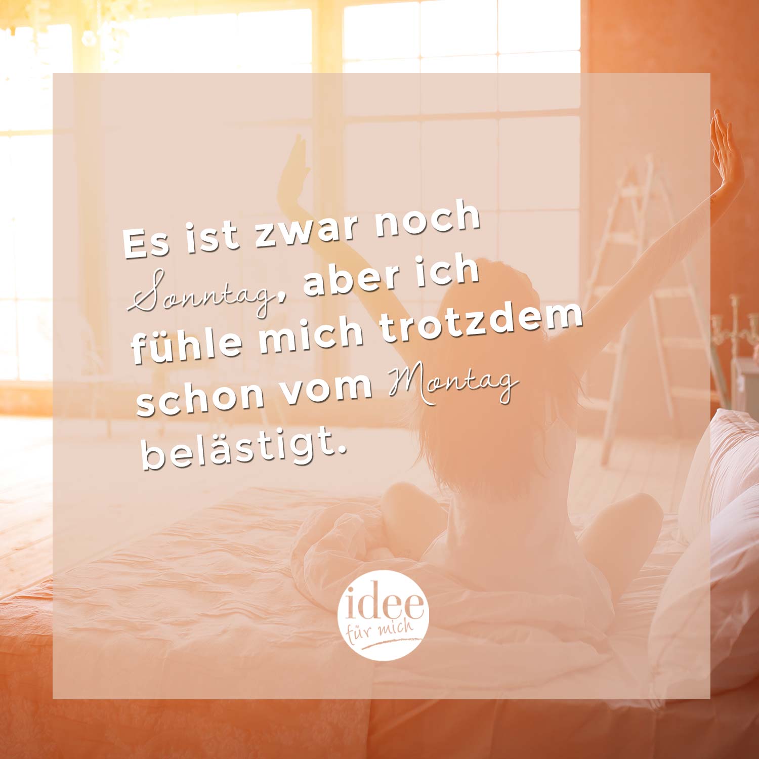 Inspiration des Tages für den August 2018