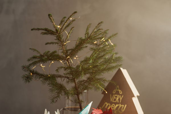 Diese Adventskalender versüßen uns dieses Jahr die Weihnachtszeit