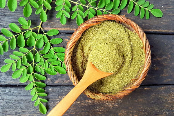 Superfood Moringa: Soll bei 300 Krankheiten helfen