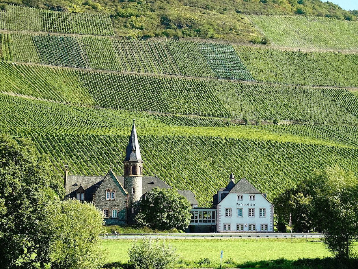 Weinwissen: Anbaugebiet Pfalz