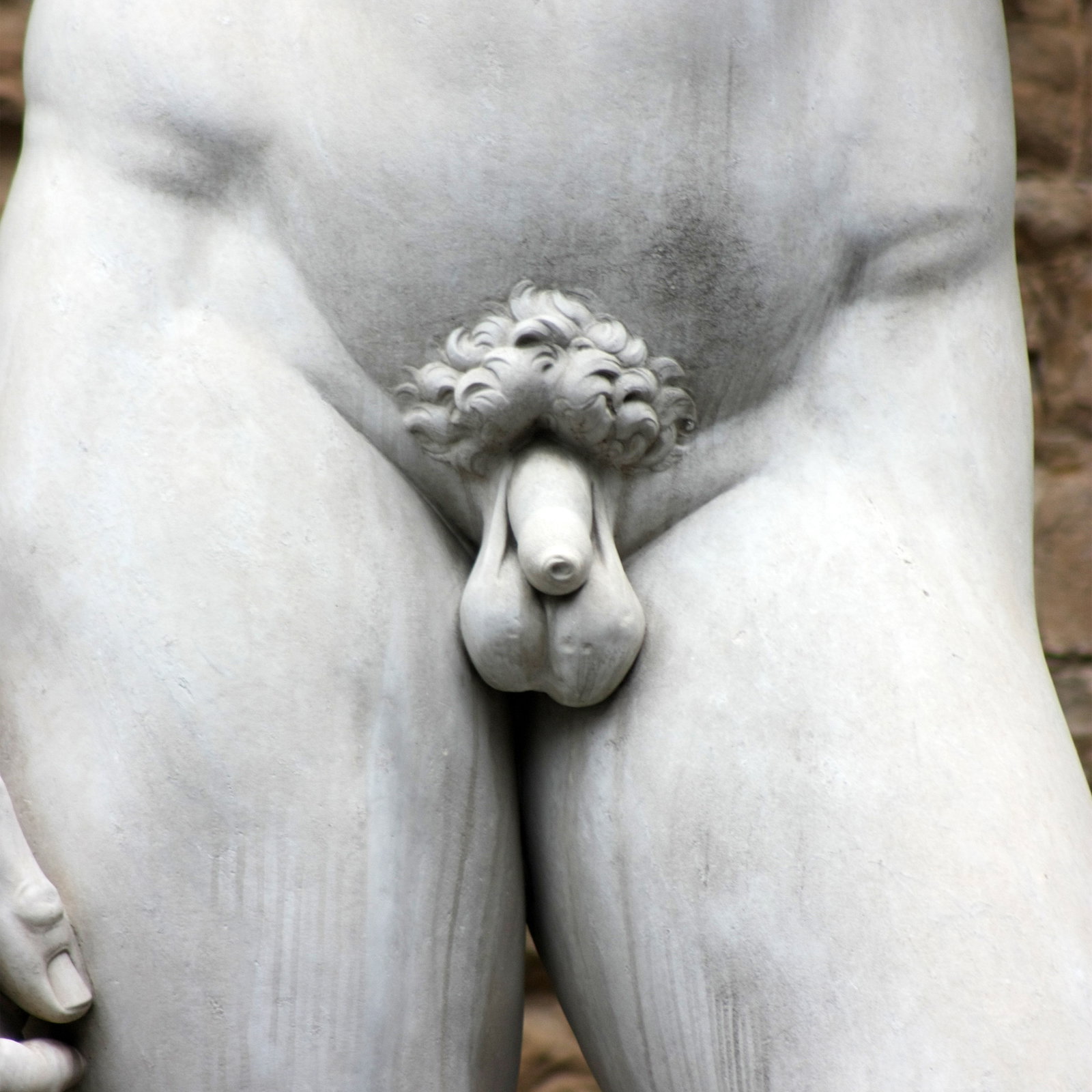 Wie soll eigentlich der perfekte Penis aussehen?