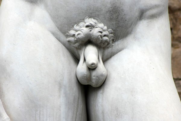 Wie soll eigentlich der perfekte Penis aussehen?